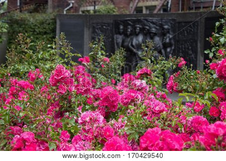 Kate Sheppard memorial and pink camellias in front of in in Christchurch New Zealand