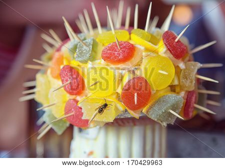 Fruit jelly on a skewer. Delicious dessert