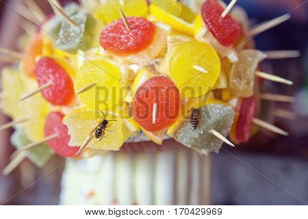 Fruit jelly on a skewer. Delicious dessert