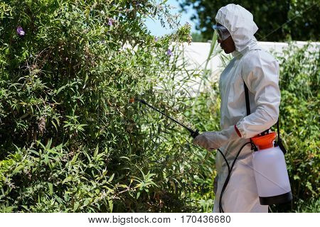 Man doing pest control in the backyard