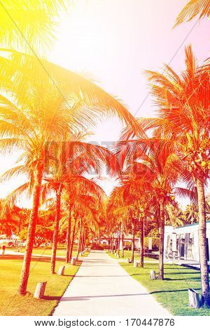 Immage walk way into resort on island