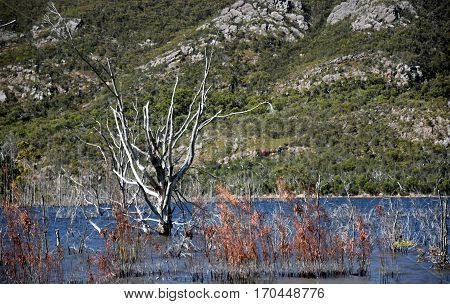 Lake Bellfield in the Grampians National Park Victoria Australia.
