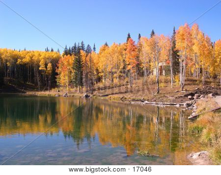 Color At Glacier Lake