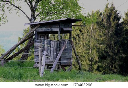 A high seat at the edge of the forest