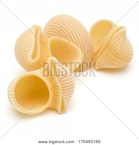 Italian lumaconi isolated on white background. Lumache, snailshell shaped pasta.