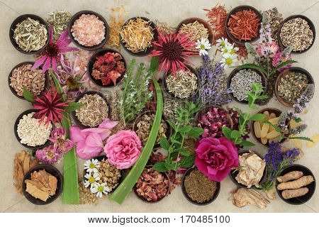 Natural alternative medicine for skin disorders with fresh and dried herbs and flowers on hemp paper background.