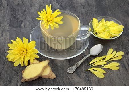 Chrysanthemum herb flower tea with glass tea cup with ginger spice and old spoon, also used  in traditional chinese herbal medicine.