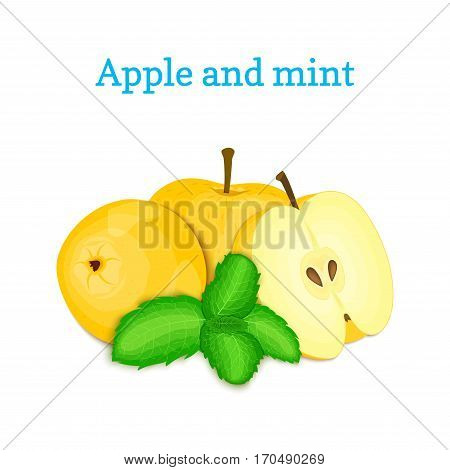 Vector composition of a few yellow apples and mint leaves. Fresh apple fruits appetizing looking. Group of tasty ripe apple with pepper mint leaf packaging design of juice breakfast healthy vegan food