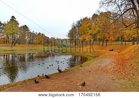 Beautiful romantic alley in a park with colorful trees and sunlight. autumn natural background Gatchina