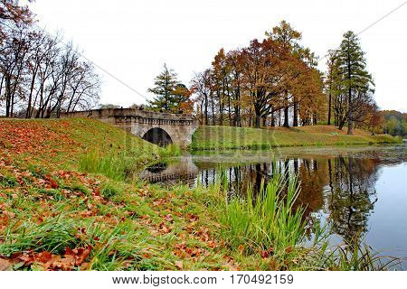 Beautiful romantic alley in a park with colorful trees and sunlight. autumn natural background Gatchina