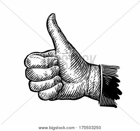 Symbol thumbs up. Hand gesture sketch. Vector illustration isolated on white background