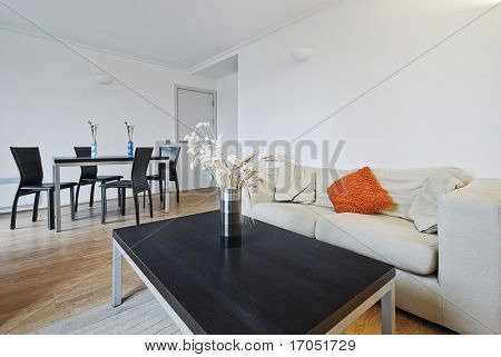 moderne woonkamer met eettafel en decoratieve elementen