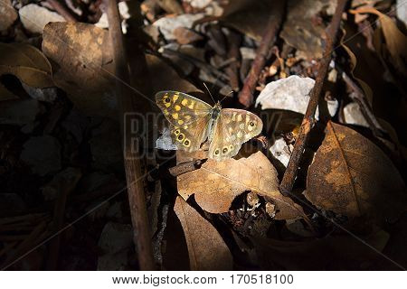 A unique beauty. Fethiye butterfly valley living area