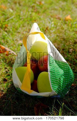Bag of green and red apples in the autumn sun