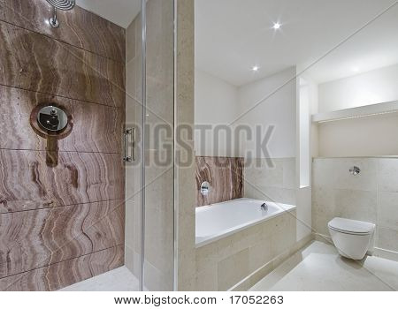 salle de bain de luxe moderne avec des éléments en marbre bruns