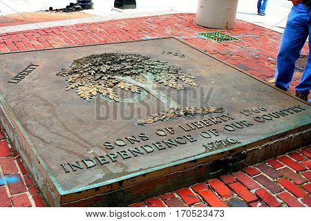 Liberty Tree bronze memorial in Boston Massachusetts