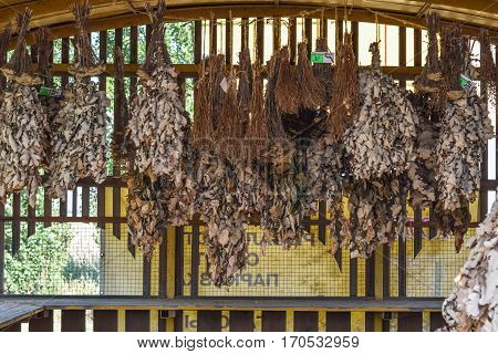 Knitted Twigs Of Oak Branches With Leaves. Brooms For A Bath. Dr