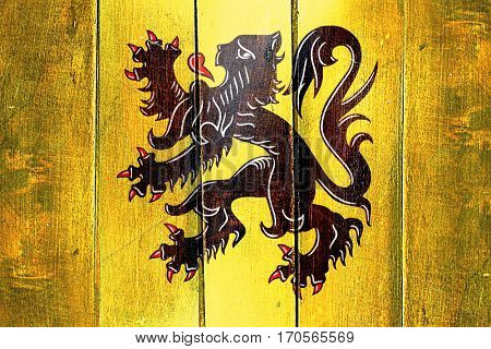 Vintage flanders, vlaanderen flag on grunge wooden panel