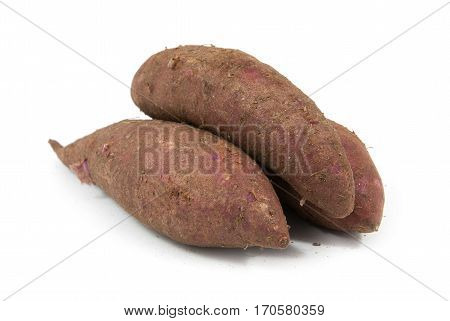 Tapioca Plants Cassava Closeup Isolated On White Background