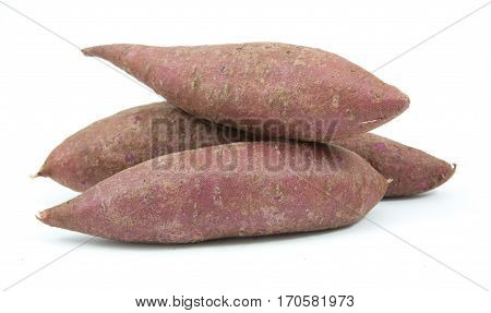 Tapioca Plants Cassava Closeup Isolated On White Background
