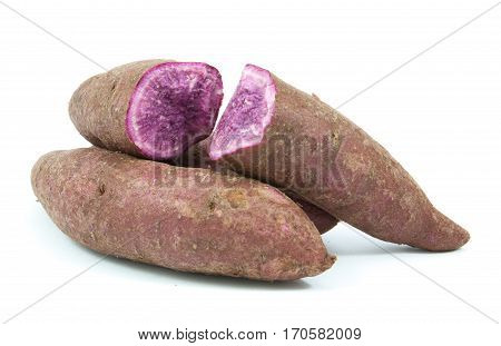 Tapioca Plants Cassava Closeup Isolated On White Background