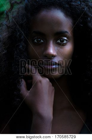 Evocative shadowy portrait of a gorgeous young woman with long curly black hair and her hand gracefully raised to her face looking directly at the camera