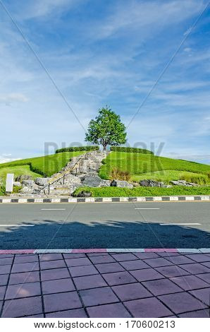 A tree at Royal Park Rajapruek(Royal Flora Park) the landmark public park in chiangmai Thailand.