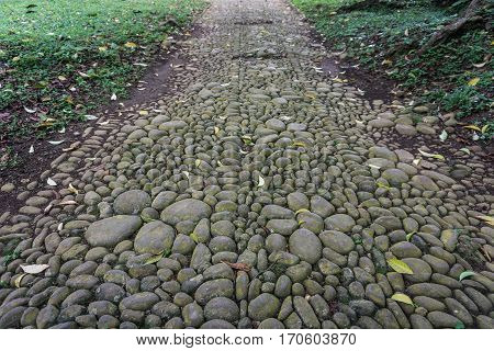 a natural footpath made from rocks and gravels photo taken in Kebun Raya Bogor Indonesia java