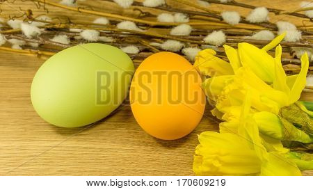 easter painted eggs with catkins willows and Daffodils