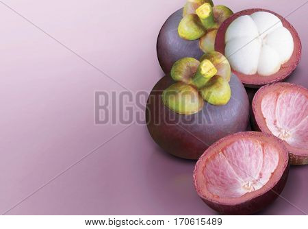 Purple mangosteen group on purple solid background