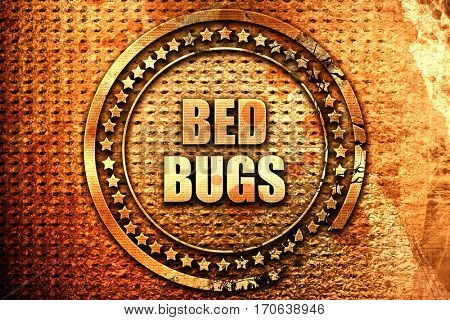 bed bugs, 3D rendering, text on metal