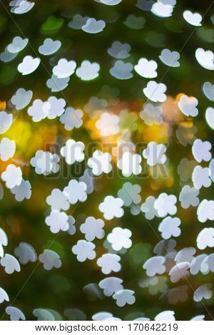 The flowers bokeh at night light and background