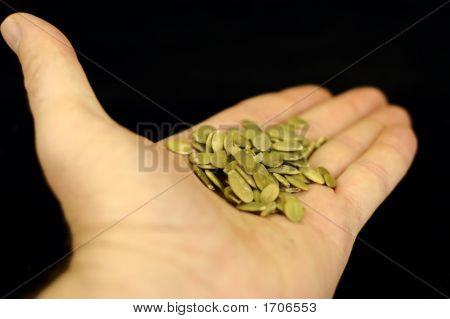 Semi di zucca In mano