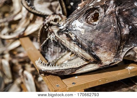 Fish shop Reine, Lofoten, Norway.