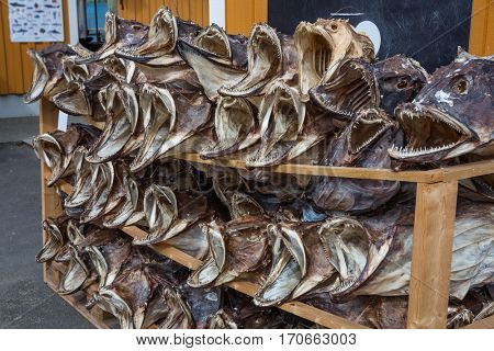 Fish shop Reine, Lofoten, Norway.