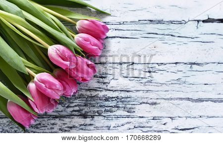 Flower bouquet of pink tulips on a white table or wooden planks. Spring background with copy space and pink spring flowers.