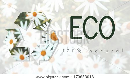 Recycle Environmental Conservation Nature Ecology