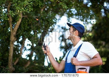 Side view of worker spraying on tree in back yard