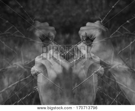 Lots of tortured hands grasping desperately barbed wire on black and white background