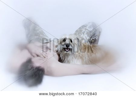ritratto in studio isolato della giovane e il suo cane labrit