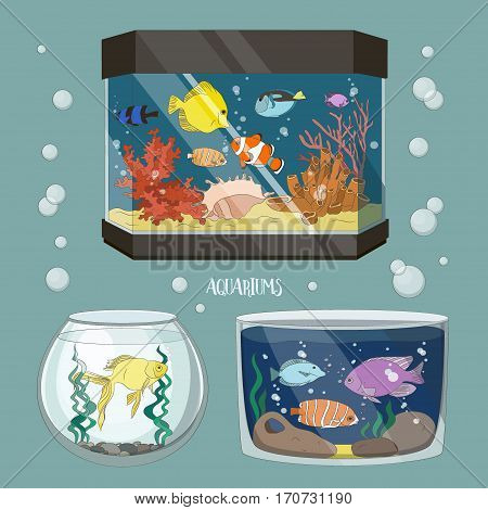 Glass Aquarium Set Different Form for Interior Home. Set of Fish and blue water.
