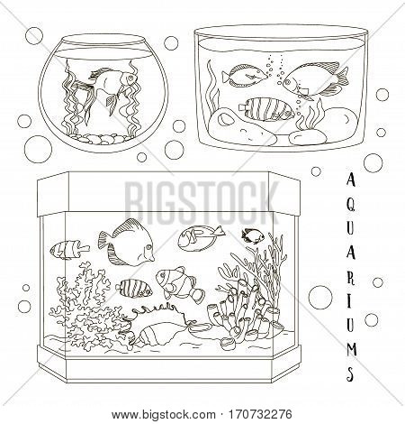 Glass Aquarium Set Different Form for Interior Home. Set of Fish and blue water.