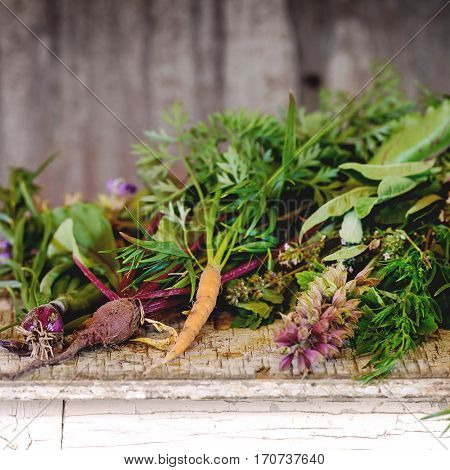 Herbs And Vegetables