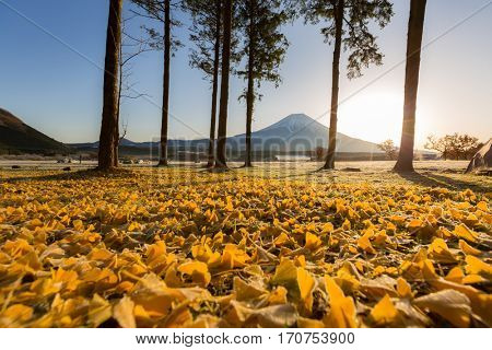 Mount Fuji Fujisan sunrise at Fumoto Japan