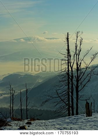 View on peak PIlsko over clouds form peak Skrzyczne in winter