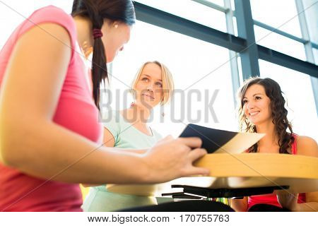 Group of university students studying hard for an exam in a lovely bright sunlit studying room/library