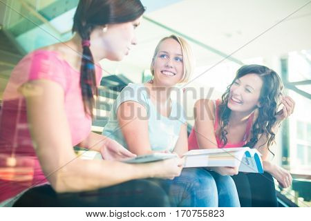Group of university students studying hard for an exam in a lovely bright sunlit studying room/library