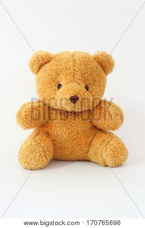 Brown teddy bear on a white background.