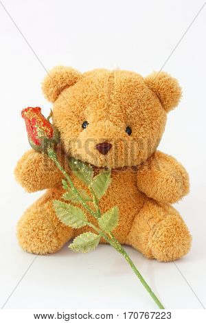 Brown teddy bears and red roses on a white background.