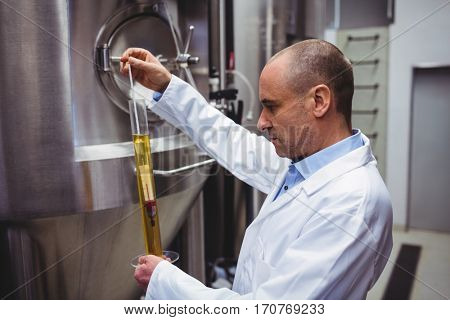 Manufacturer examining beer in test tube at brewery
